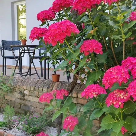 Miro Guesthouse Tivat Dış mekan fotoğraf