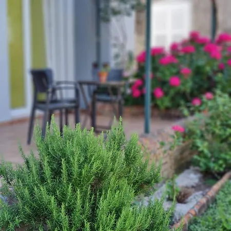 Miro Guesthouse Tivat Dış mekan fotoğraf