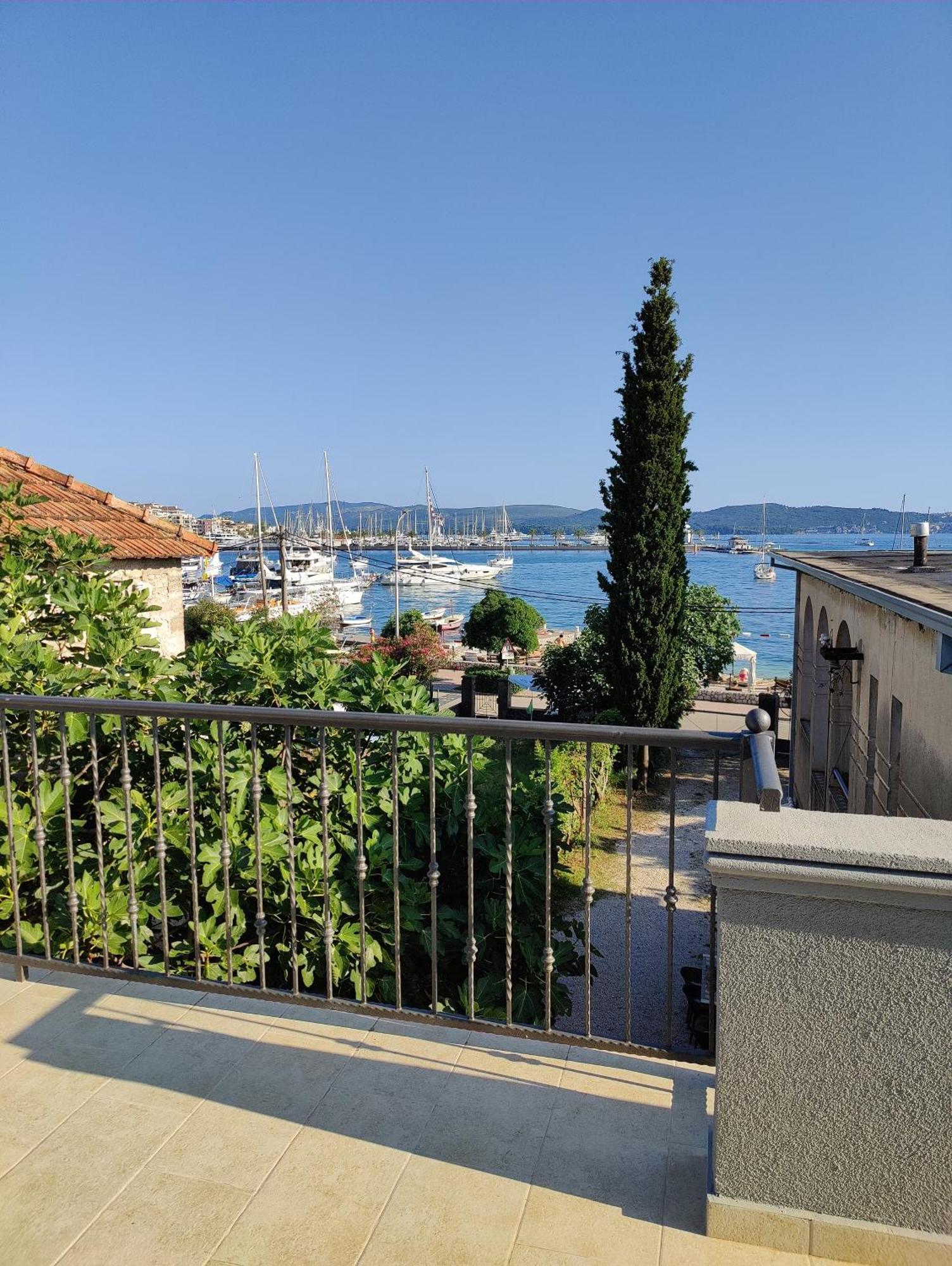 Miro Tivat